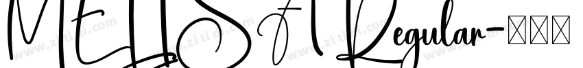MELISA Regular字体转换